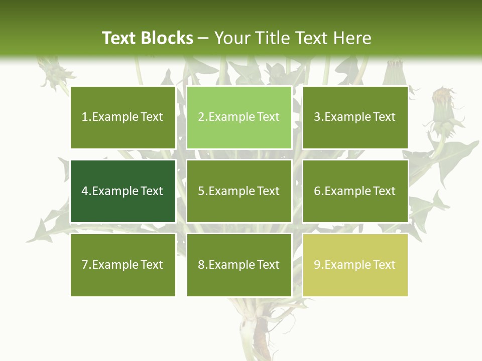 Leaf Root Vertical PowerPoint Template