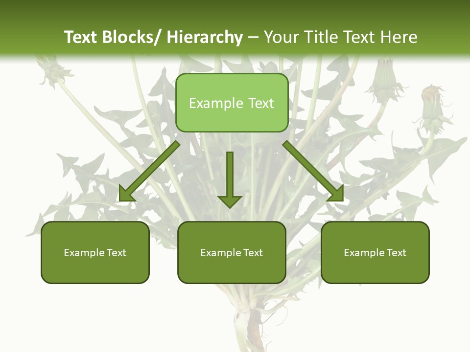 Leaf Root Vertical PowerPoint Template