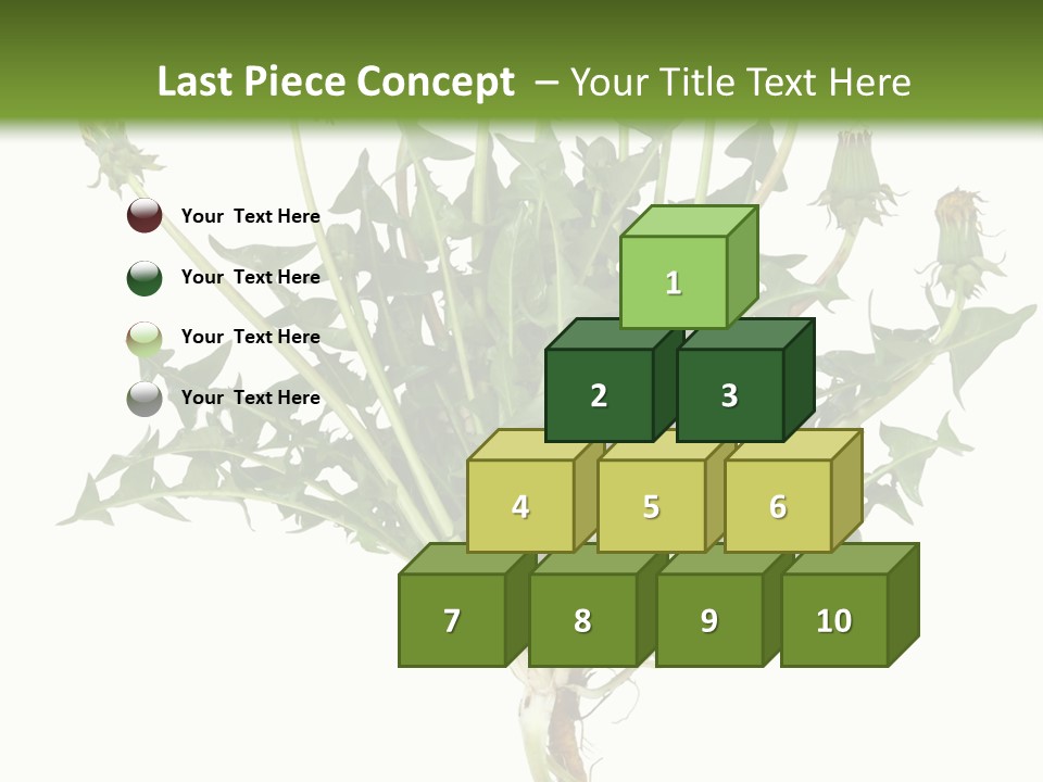 Leaf Root Vertical PowerPoint Template