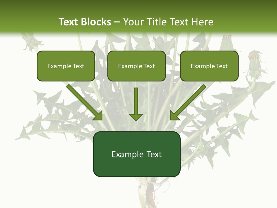 Leaf Root Vertical PowerPoint Template