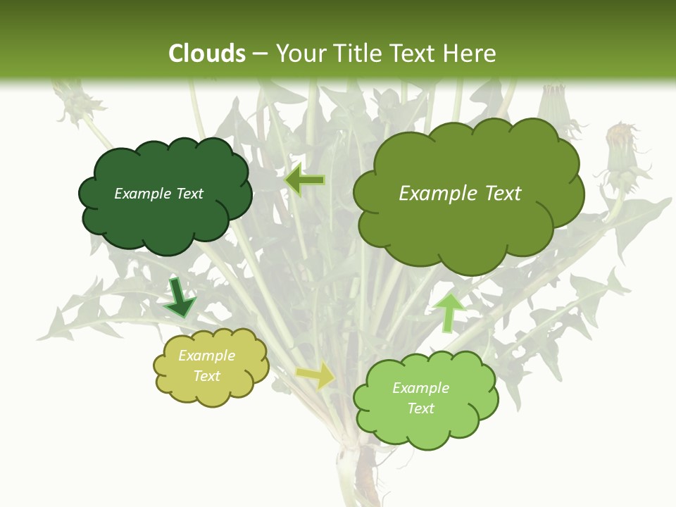 Leaf Root Vertical PowerPoint Template
