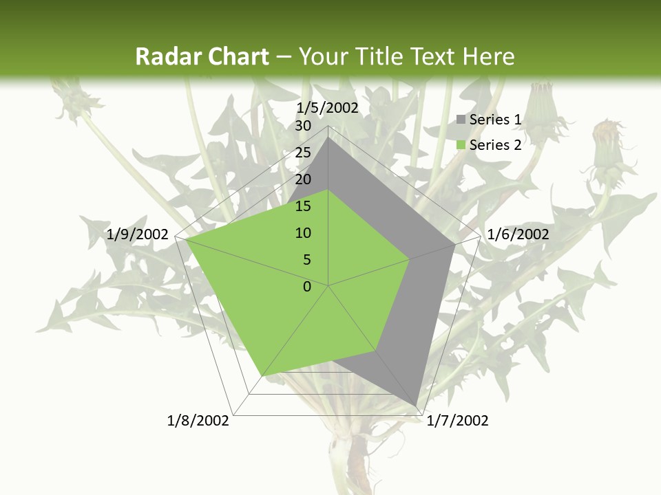 Leaf Root Vertical PowerPoint Template