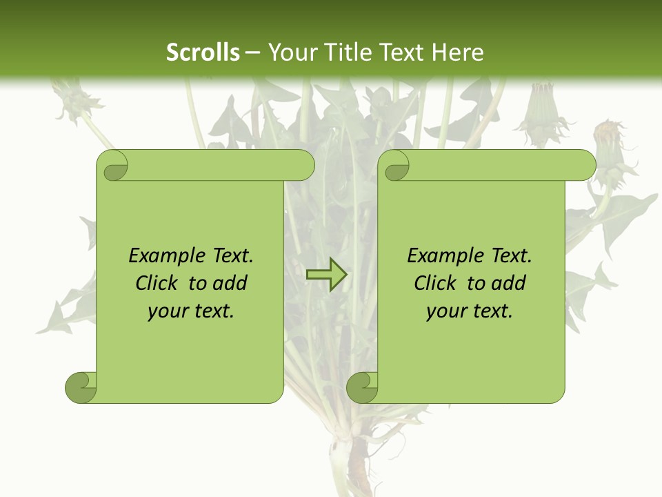 Leaf Root Vertical PowerPoint Template
