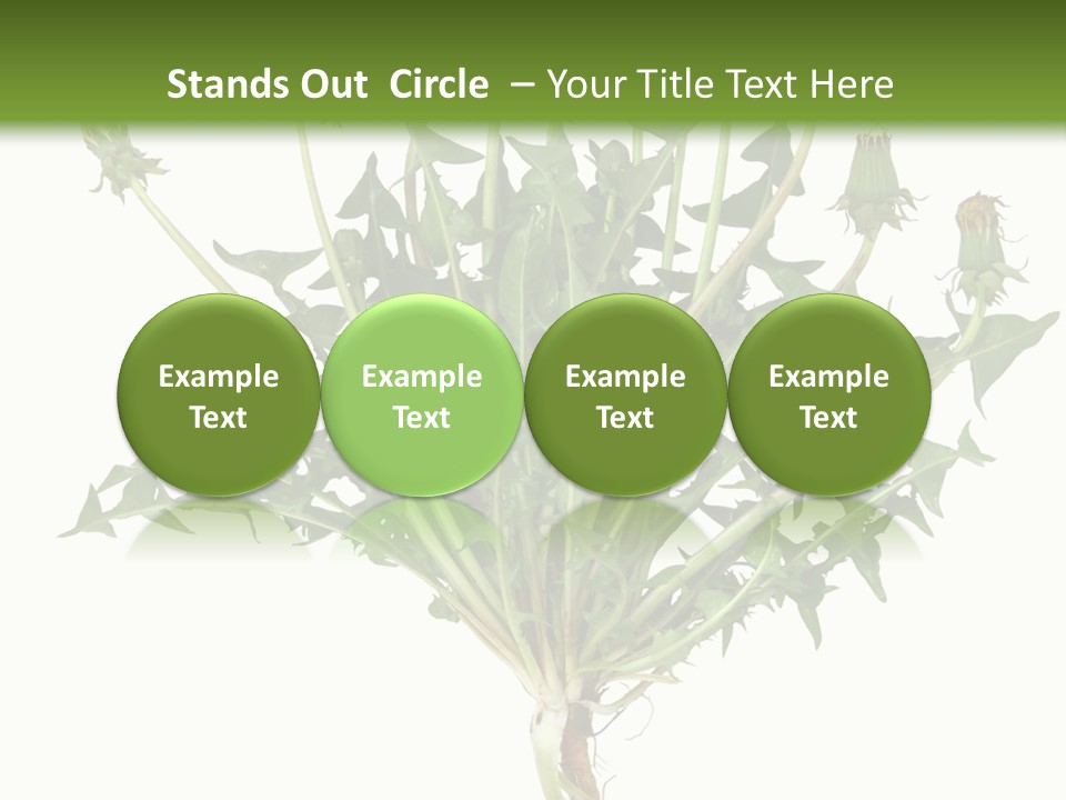 Leaf Root Vertical PowerPoint Template