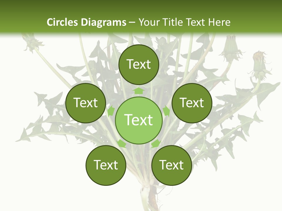 Leaf Root Vertical PowerPoint Template