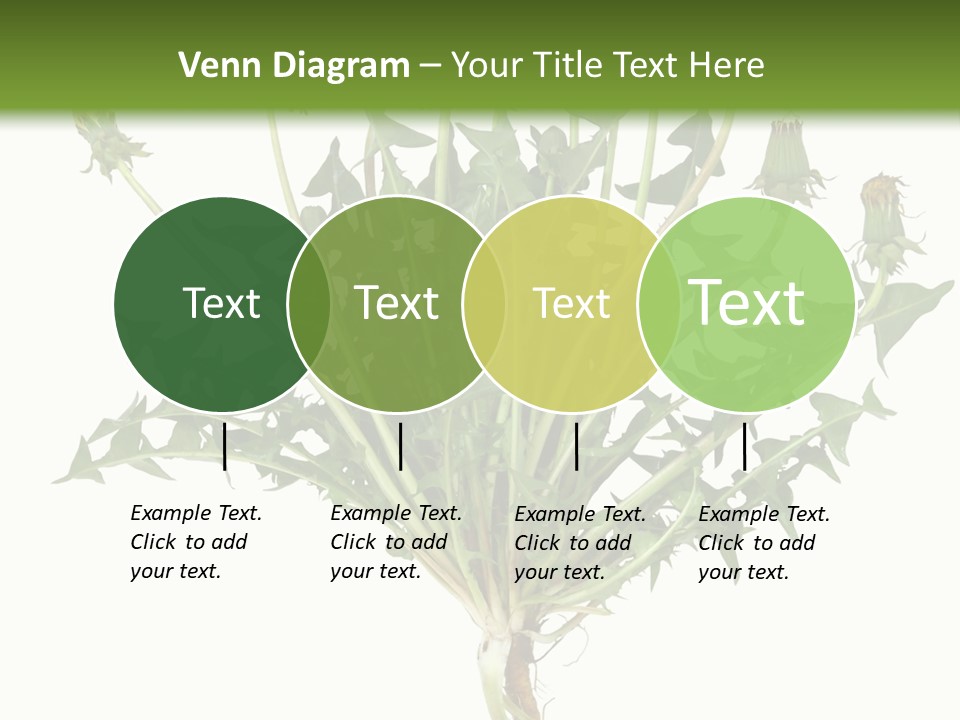 Leaf Root Vertical PowerPoint Template