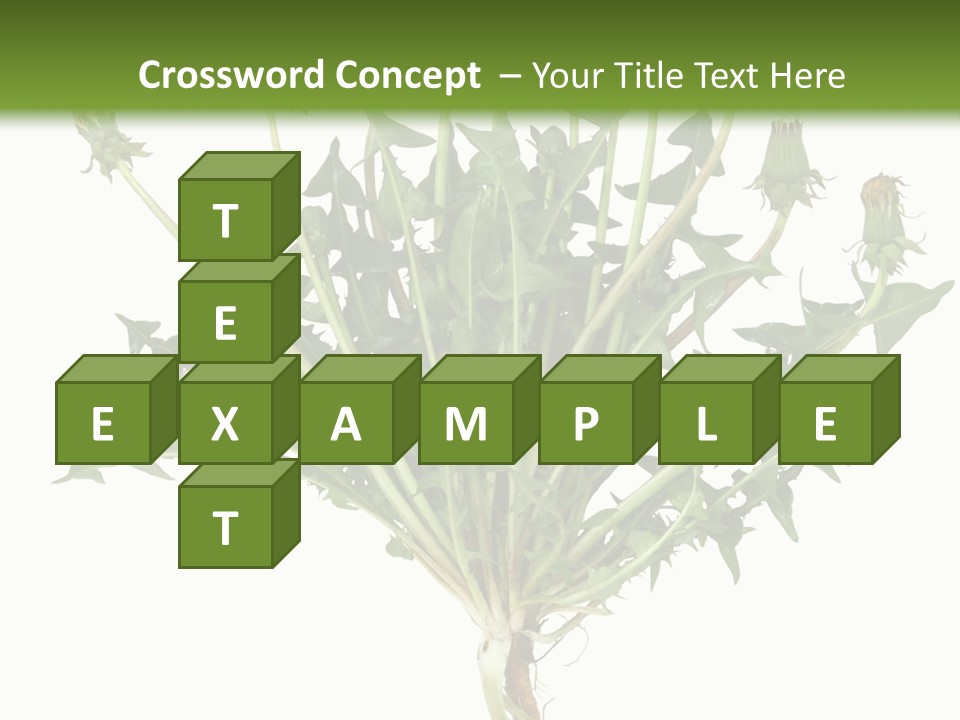 Leaf Root Vertical PowerPoint Template