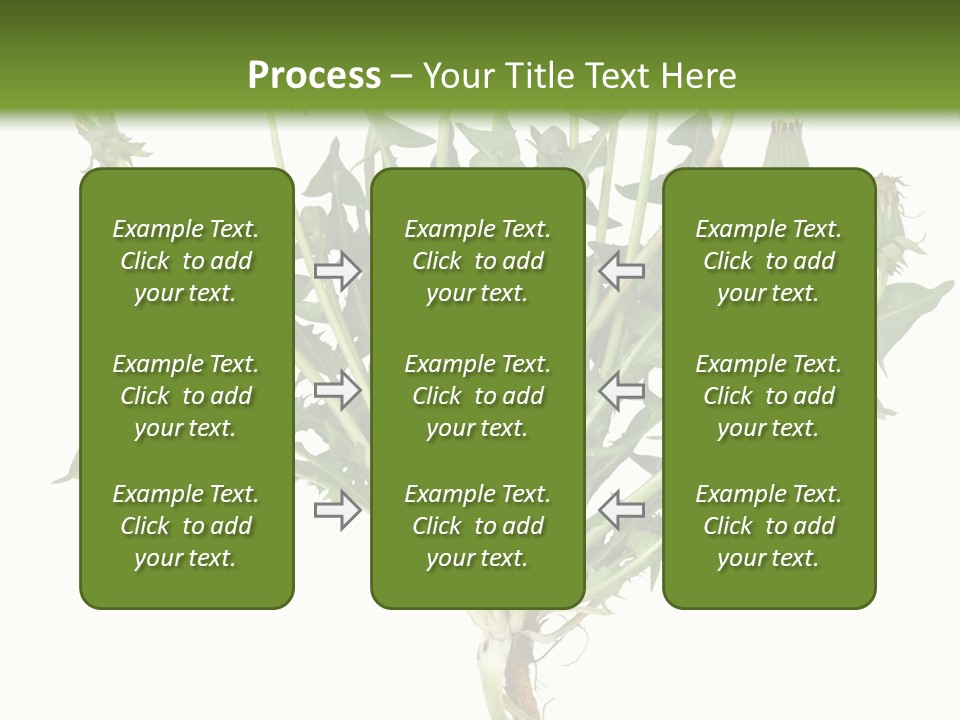 Leaf Root Vertical PowerPoint Template