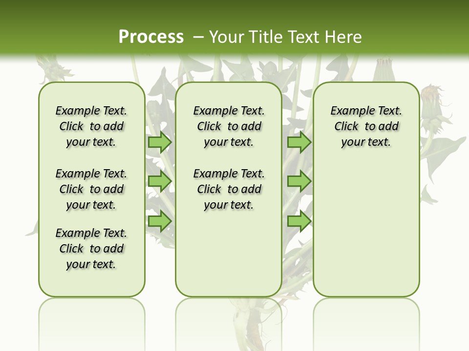 Leaf Root Vertical PowerPoint Template