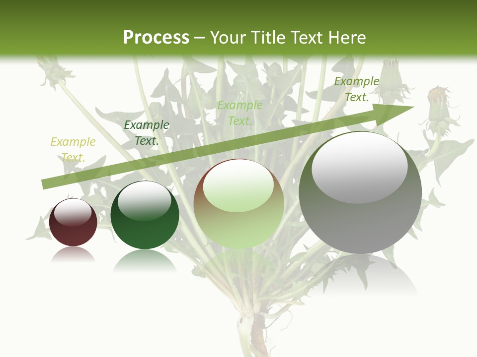 Leaf Root Vertical PowerPoint Template