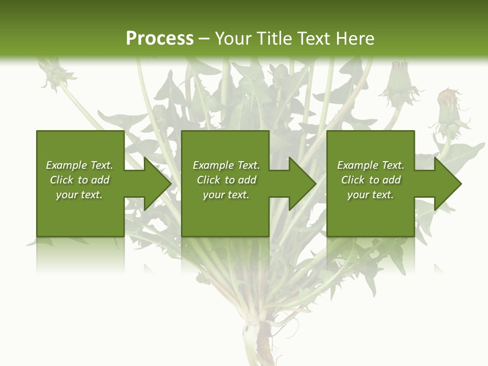 Leaf Root Vertical PowerPoint Template