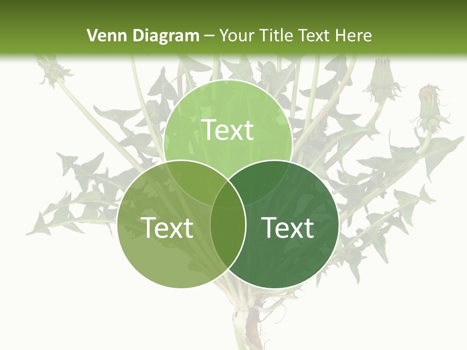 Leaf Root Vertical PowerPoint Template