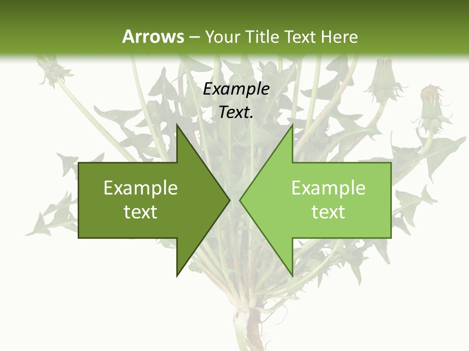 Leaf Root Vertical PowerPoint Template