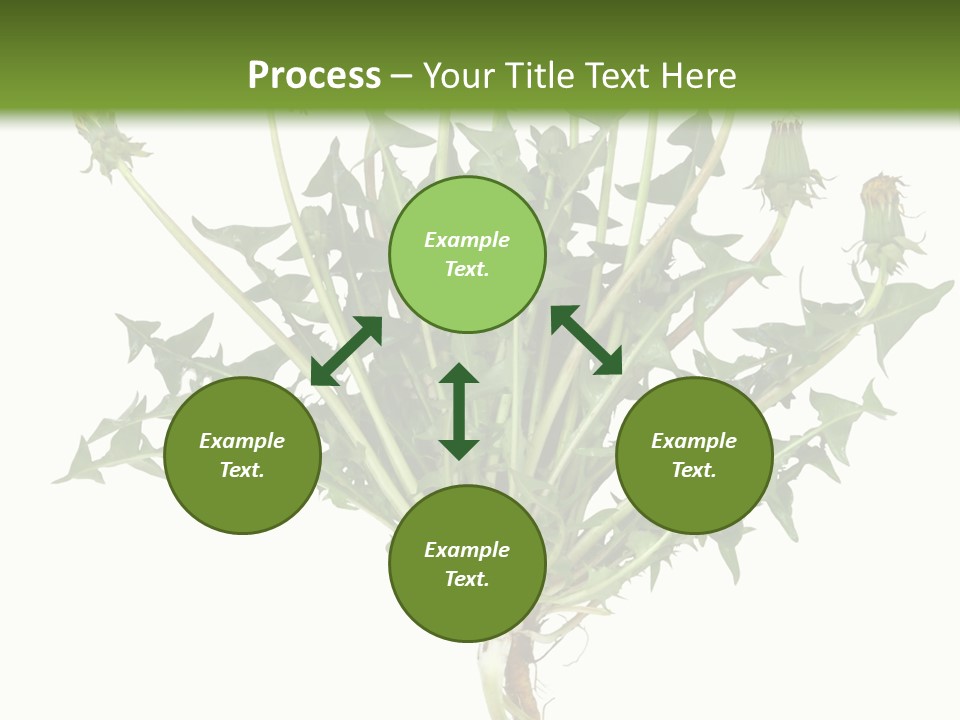 Leaf Root Vertical PowerPoint Template