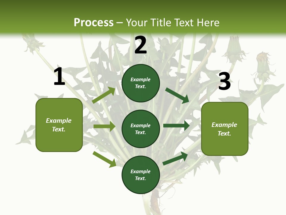 Leaf Root Vertical PowerPoint Template