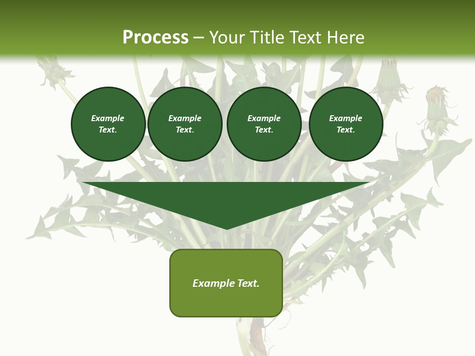 Leaf Root Vertical PowerPoint Template