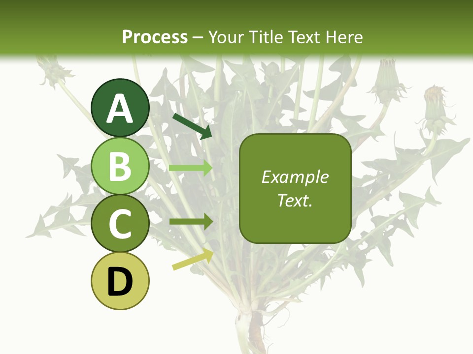 Leaf Root Vertical PowerPoint Template