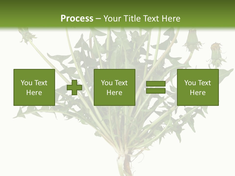 Leaf Root Vertical PowerPoint Template