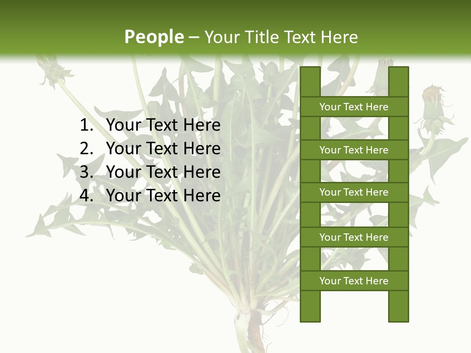 Leaf Root Vertical PowerPoint Template