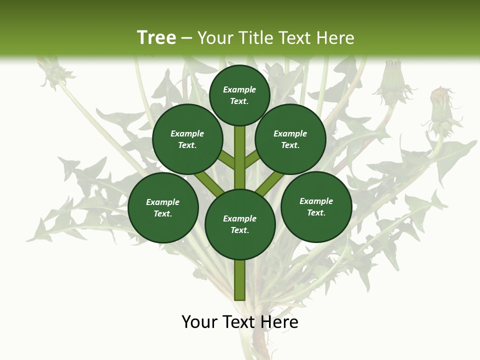 Leaf Root Vertical PowerPoint Template