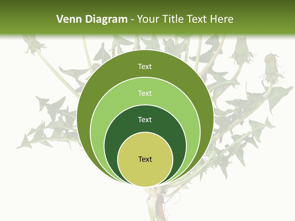 Leaf Root Vertical PowerPoint Template