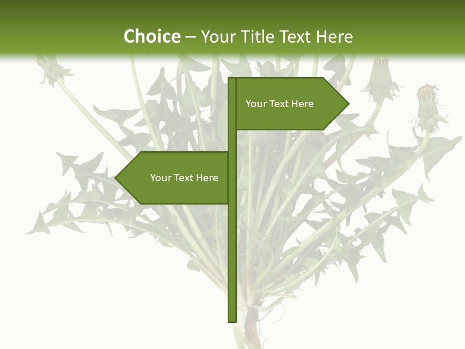 Leaf Root Vertical PowerPoint Template