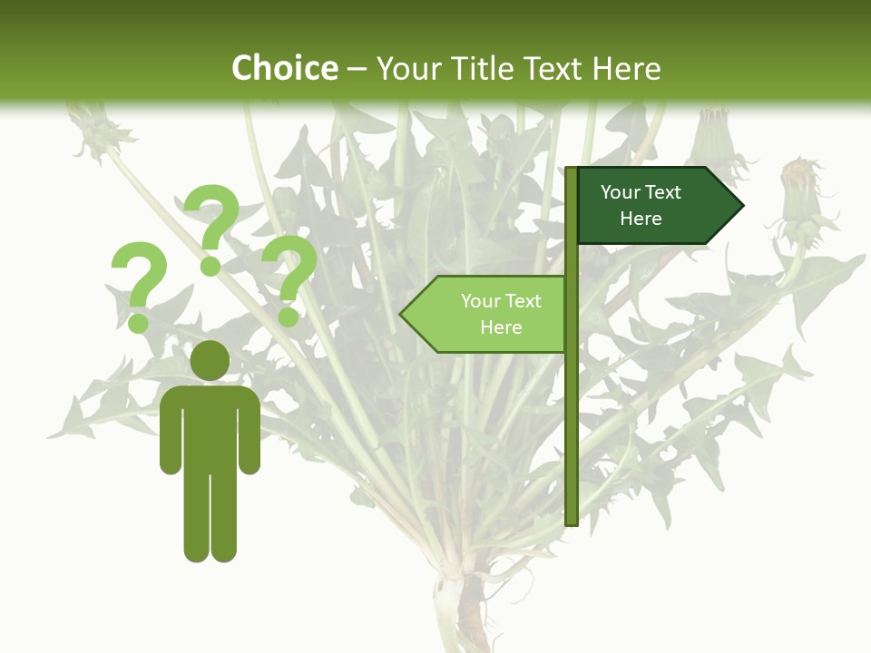 Leaf Root Vertical PowerPoint Template