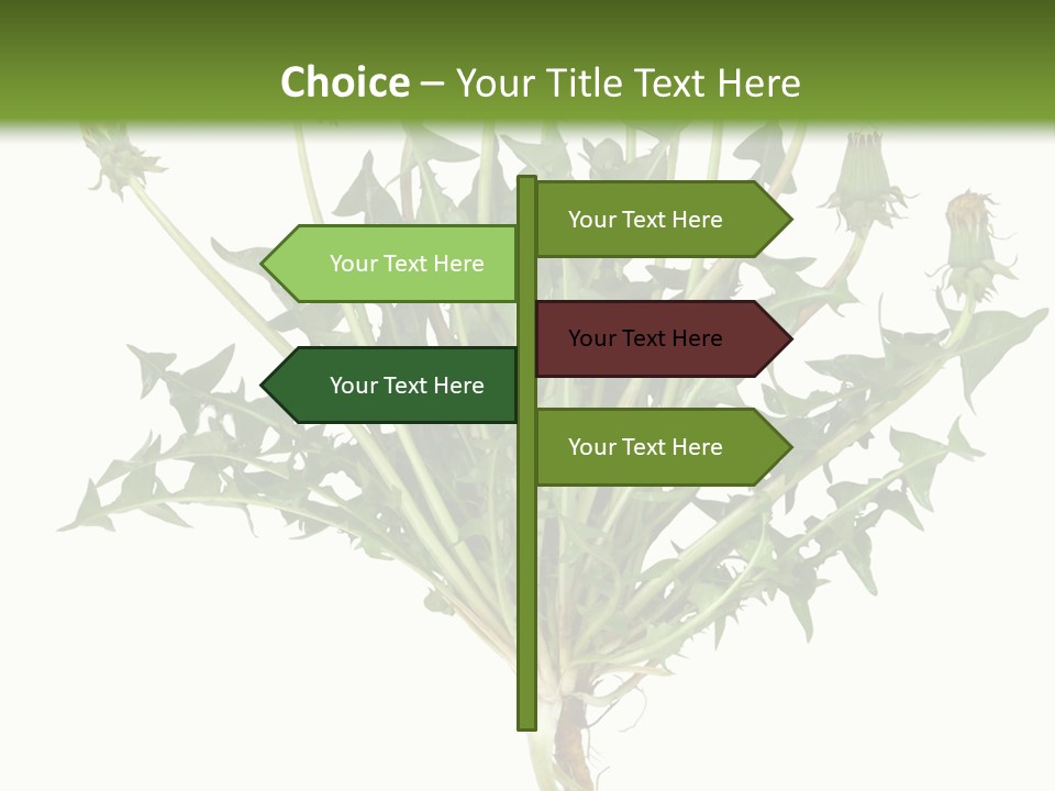 Leaf Root Vertical PowerPoint Template