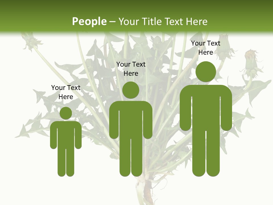 Leaf Root Vertical PowerPoint Template