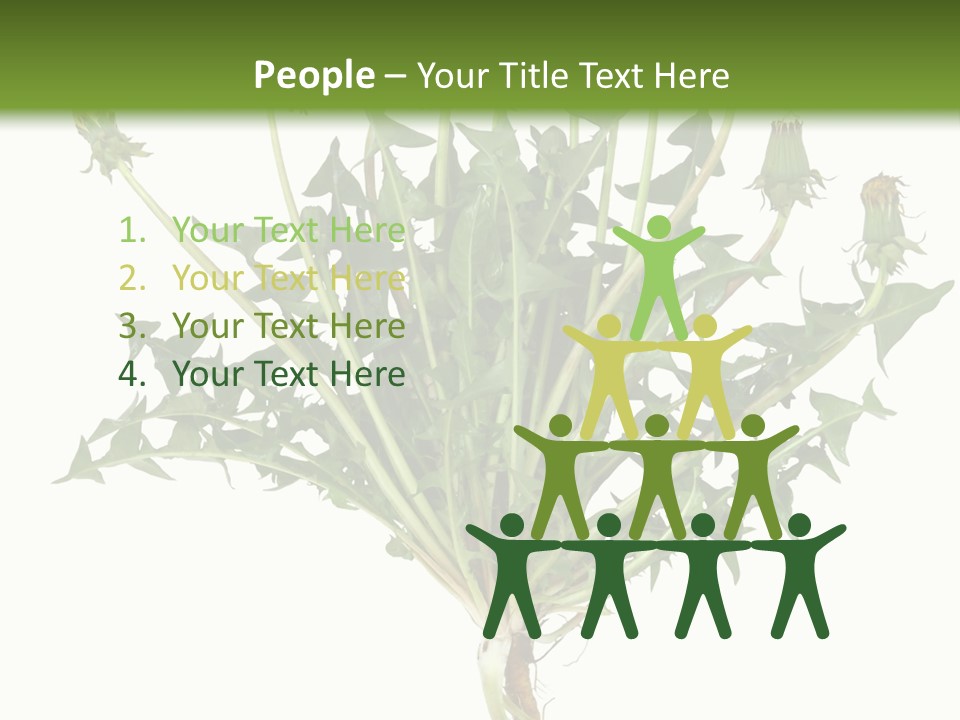 Leaf Root Vertical PowerPoint Template