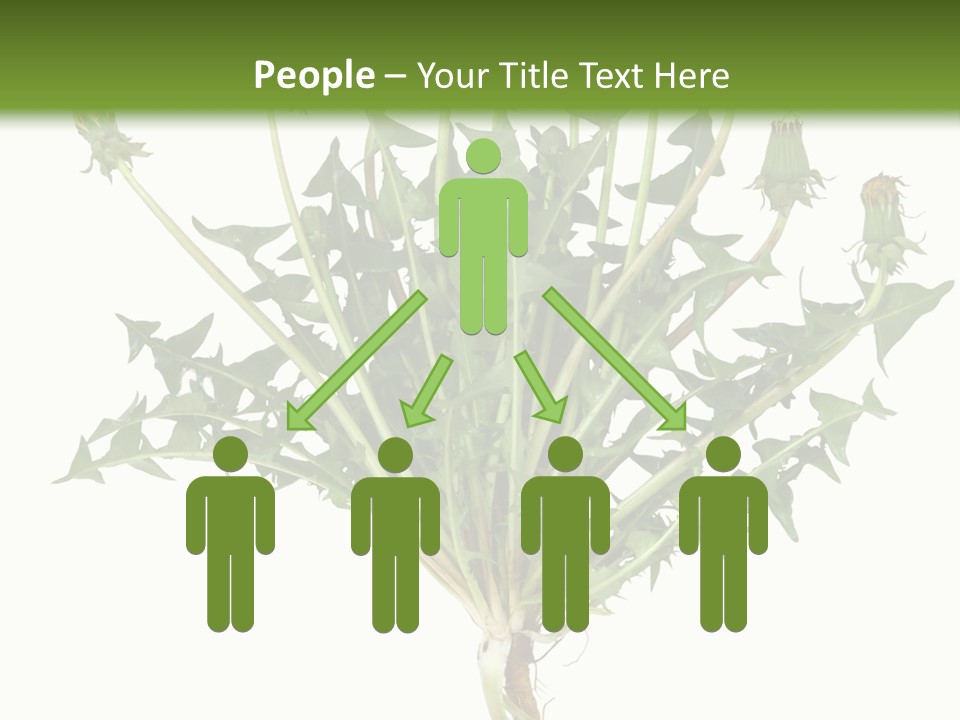 Leaf Root Vertical PowerPoint Template