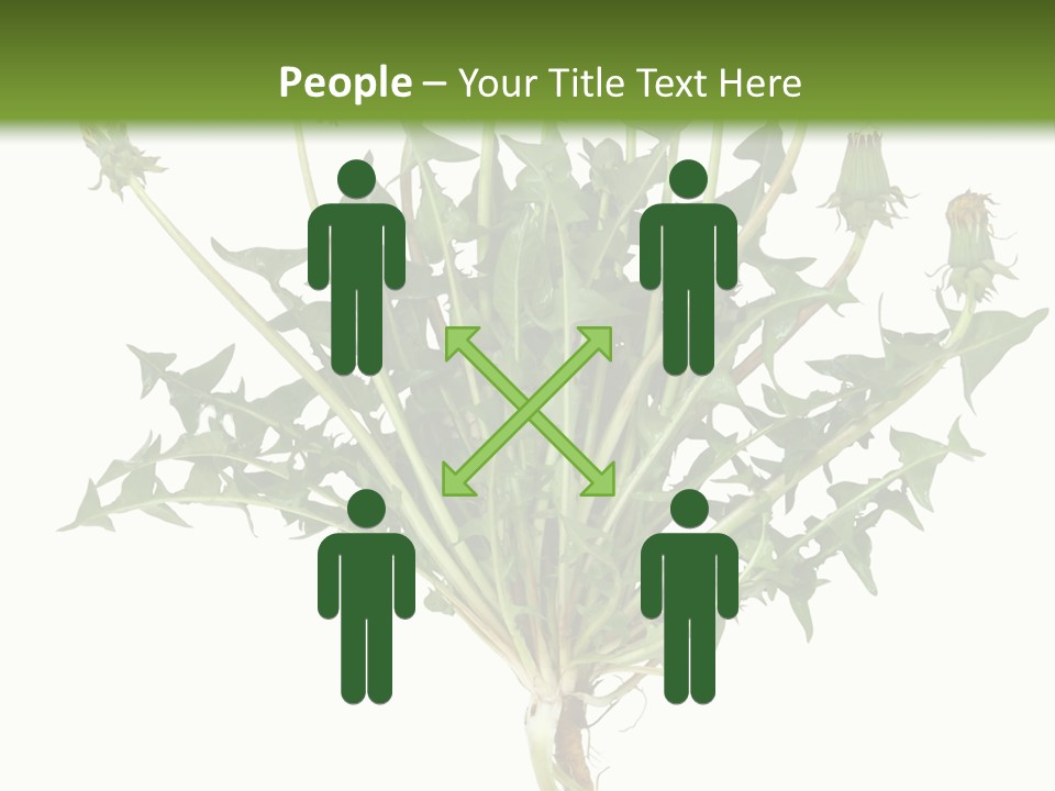 Leaf Root Vertical PowerPoint Template