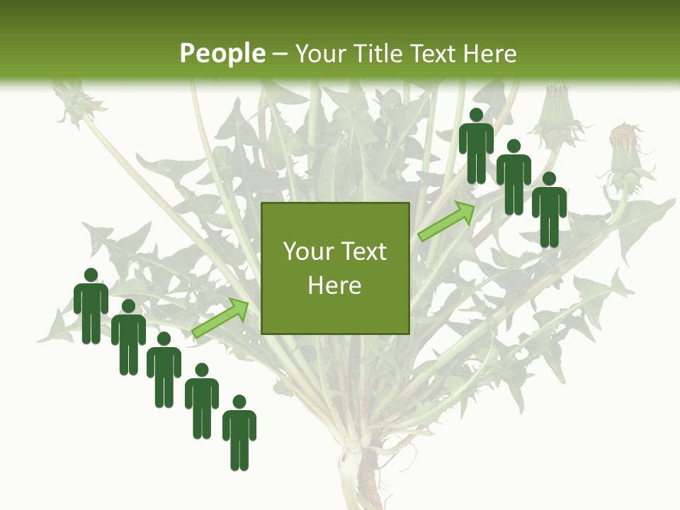 Leaf Root Vertical PowerPoint Template