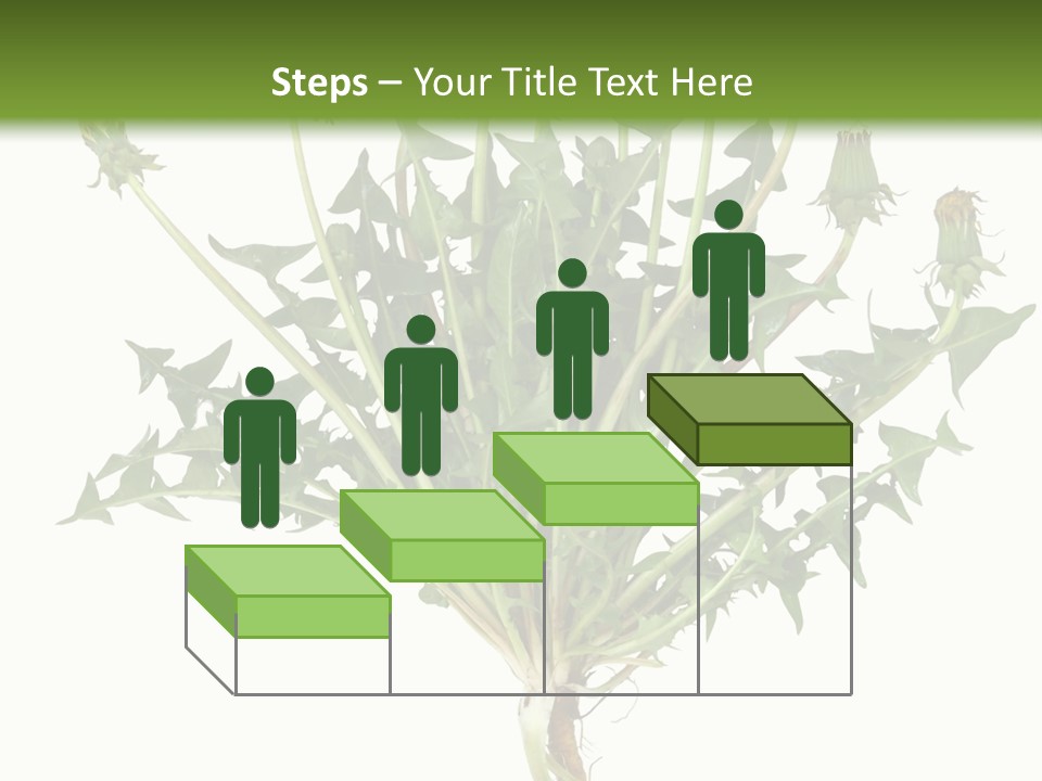 Leaf Root Vertical PowerPoint Template