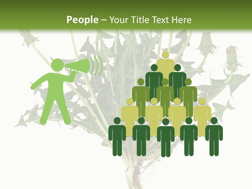 Leaf Root Vertical PowerPoint Template