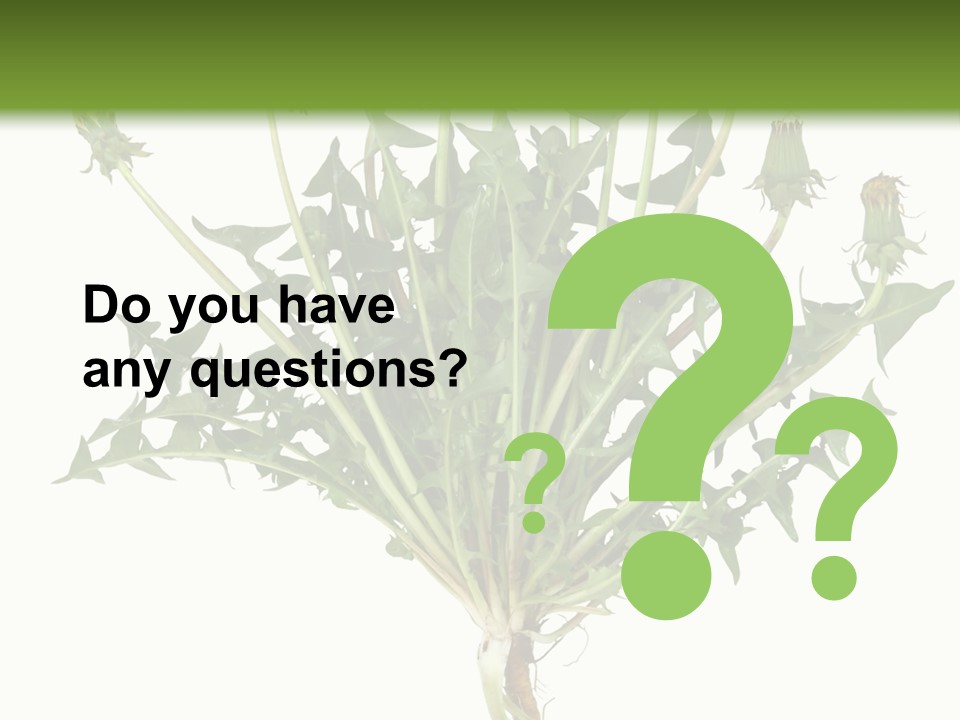 Leaf Root Vertical PowerPoint Template