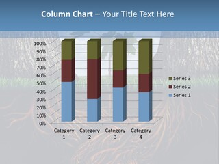 Development Contract Agreement PowerPoint Template