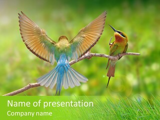 Yellow Wild Image PowerPoint Template