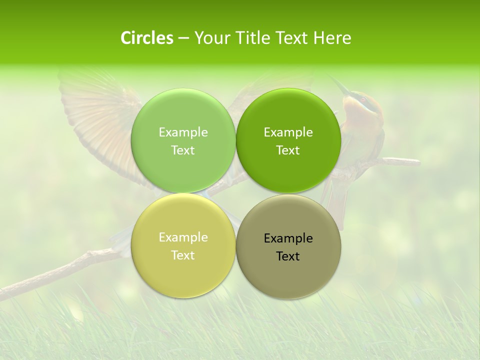 Yellow Wild Image PowerPoint Template