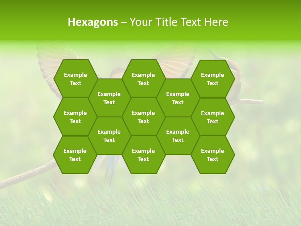 Yellow Wild Image PowerPoint Template