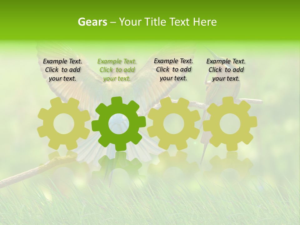 Yellow Wild Image PowerPoint Template