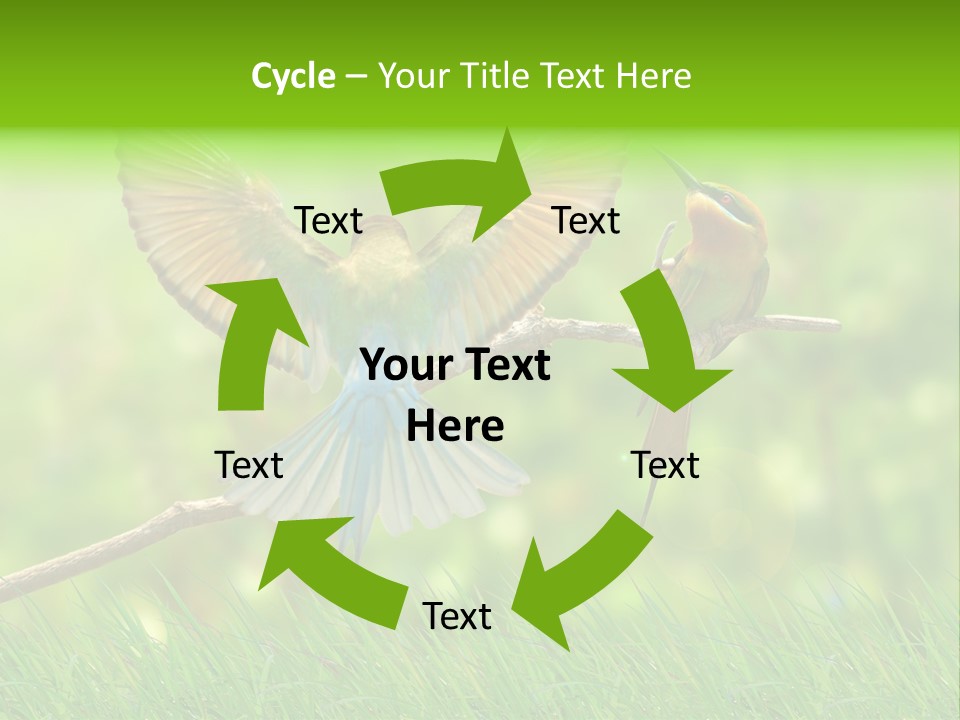 Yellow Wild Image PowerPoint Template