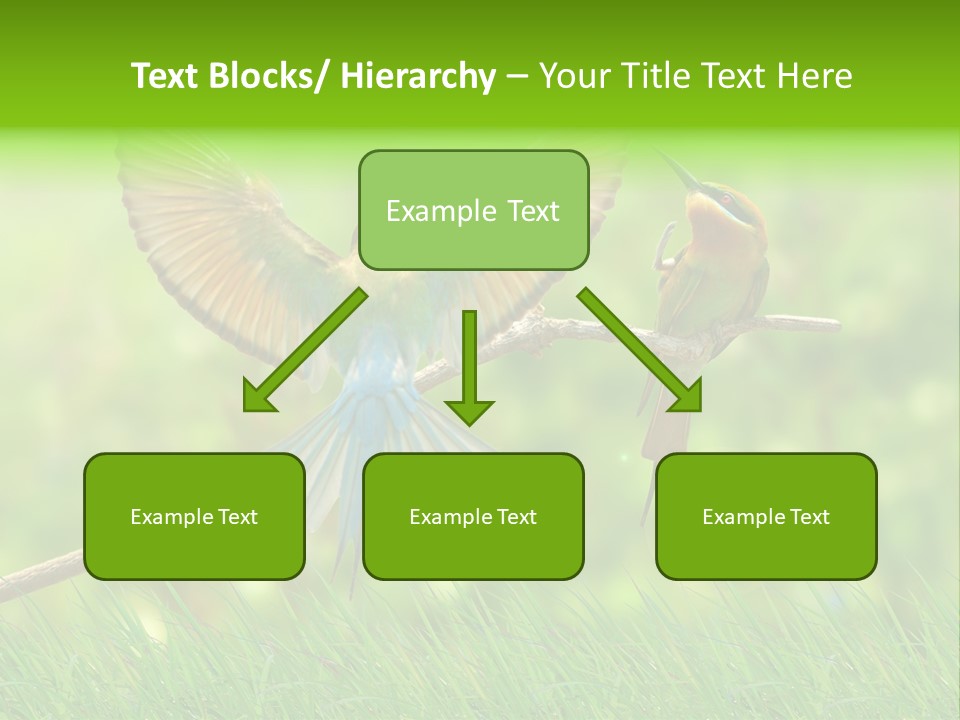 Yellow Wild Image PowerPoint Template