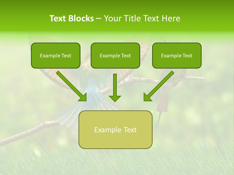 Yellow Wild Image PowerPoint Template