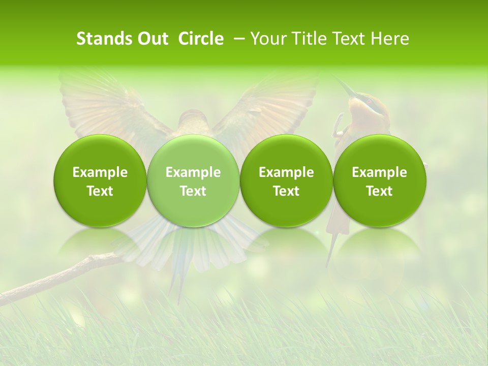 Yellow Wild Image PowerPoint Template