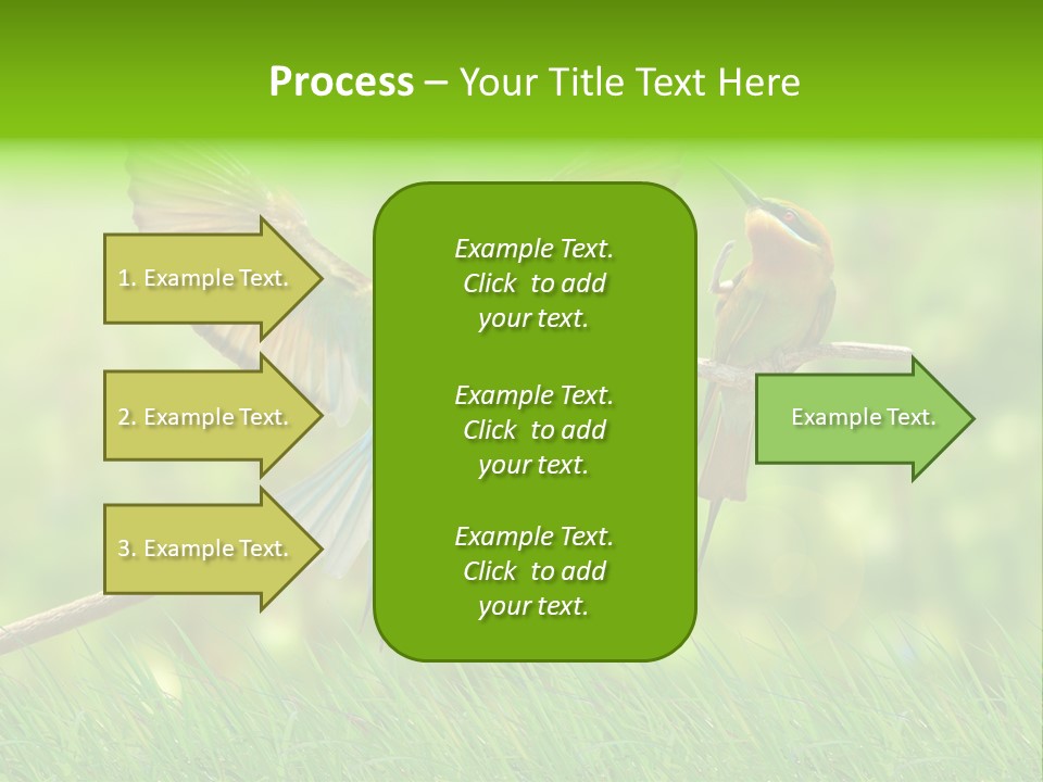 Yellow Wild Image PowerPoint Template