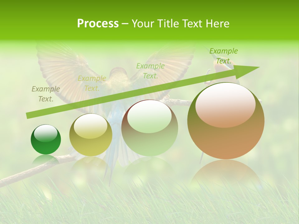 Yellow Wild Image PowerPoint Template