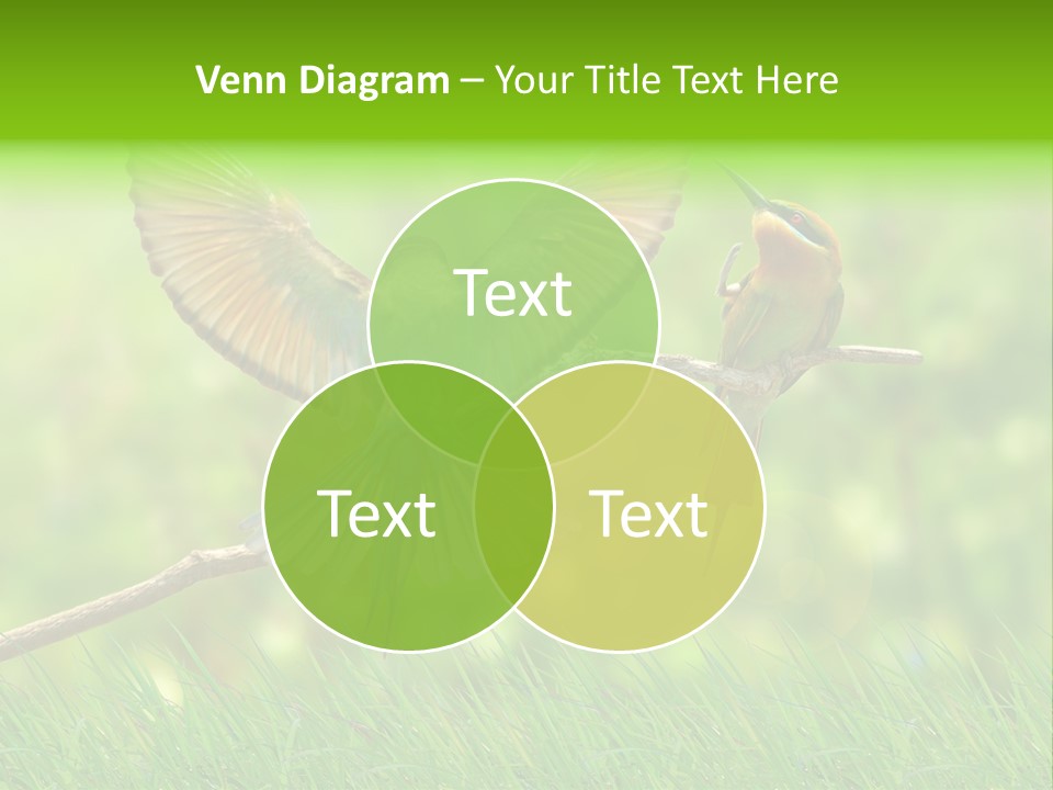 Yellow Wild Image PowerPoint Template