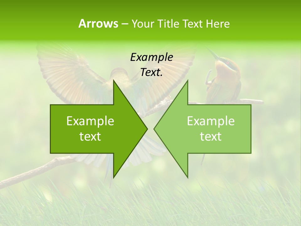 Yellow Wild Image PowerPoint Template