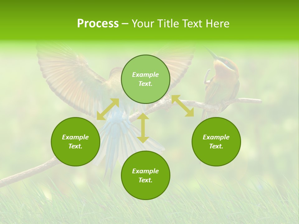 Yellow Wild Image PowerPoint Template